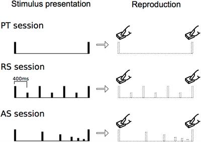 Motor Reproduction of Time Interval Depends on Internal Temporal Cues in the Brain: Sensorimotor Imagery in Rhythm
